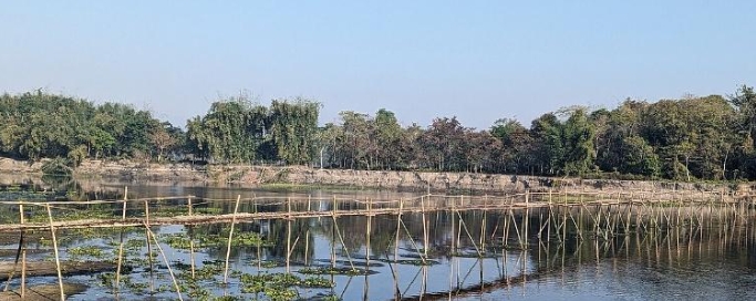 A bamboo bridge on Luhit river, Majuli, Assam